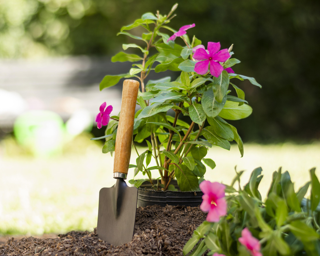 plants-gardening-tools-close-up.jpg