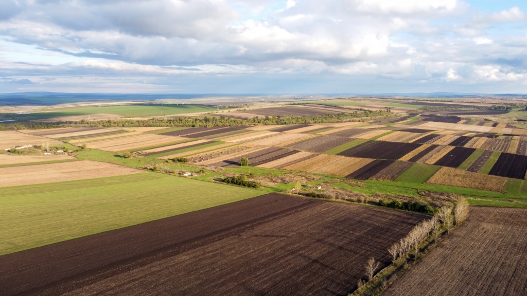 aerial-drone-view-nature-moldova-sown-fields-trees-rows-cloudy-sky.jpg