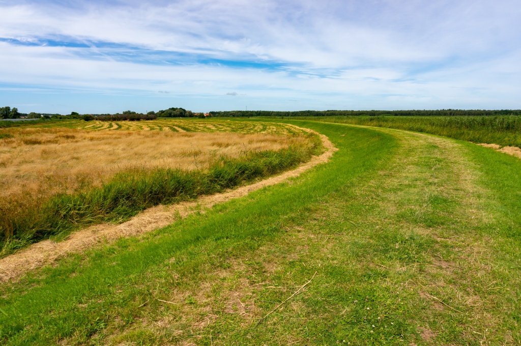 farmland-cloudy-sky.jpg