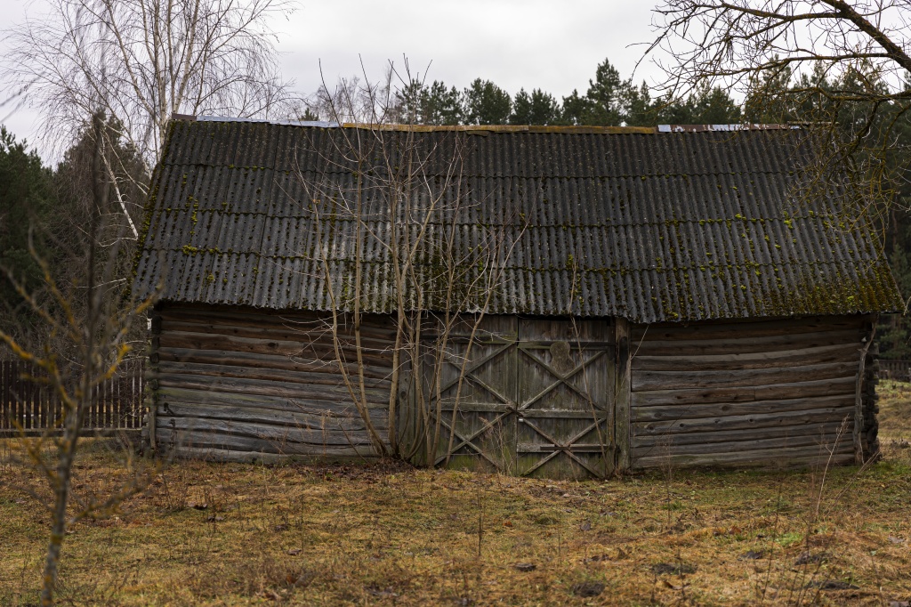 view-abandoned-decaying-house-nature.jpg