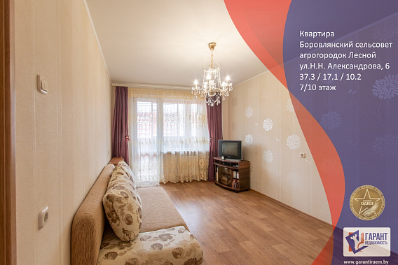 1-комн.квартира с большой кухней, п.Лесной ул.Н.Н.Александрова, д.6 (10 км от МКАД)