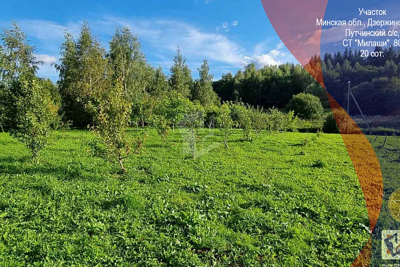 Продается участок 20 соток в престижном С/т. Милаши, 30 км от МКАД, Гродненское направление.
