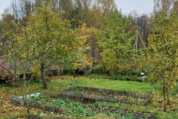 Продается шикарный участок в СТ «Лувр» 23 км от Минска, Мядельское направление  