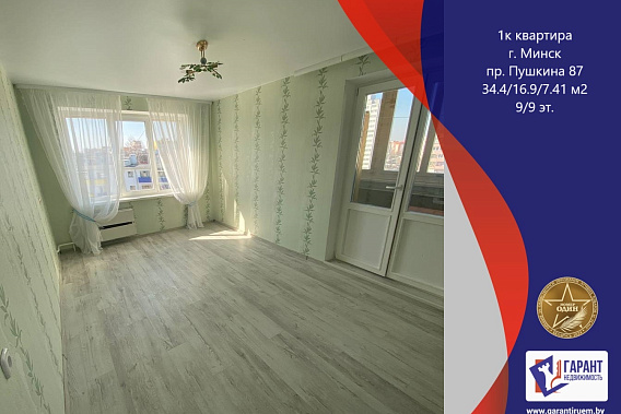 1-комнатная квартира, пр-т Пушкина,87