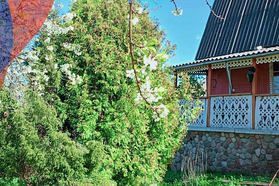 Дача  с террасой и камином в СТ «Криница-82»