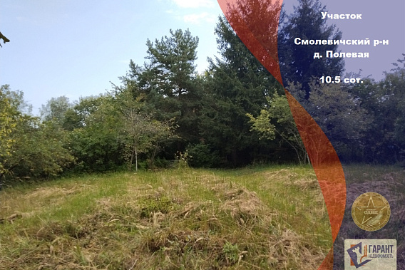 Участок д. Полевая, Смолевичский район.