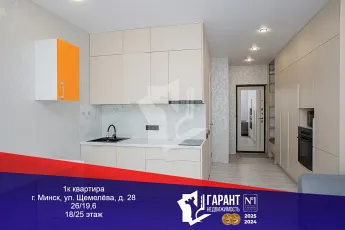 Купить однокомнатную квартиру с ремонтом в Минск мире